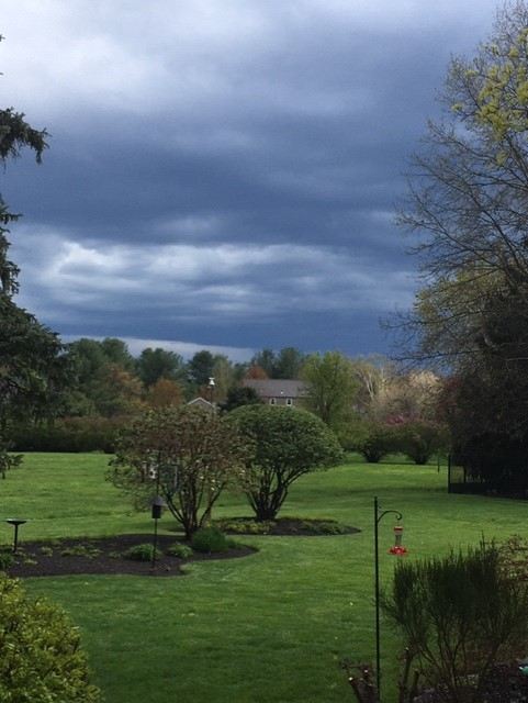 April Showers Bring Mayflowers Sue Appelget