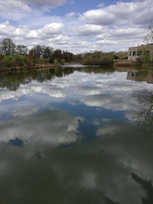 Martin Whitfield WAC Pond