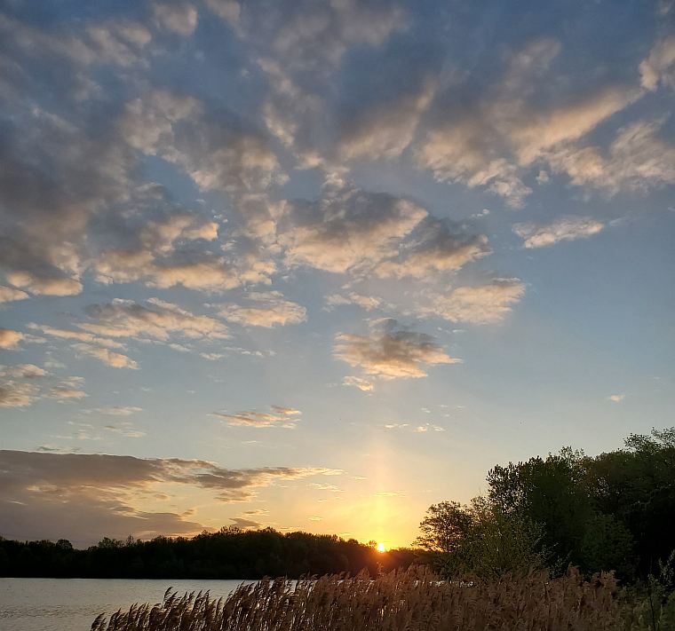 Sunrise MCC Russ Schunacher sm