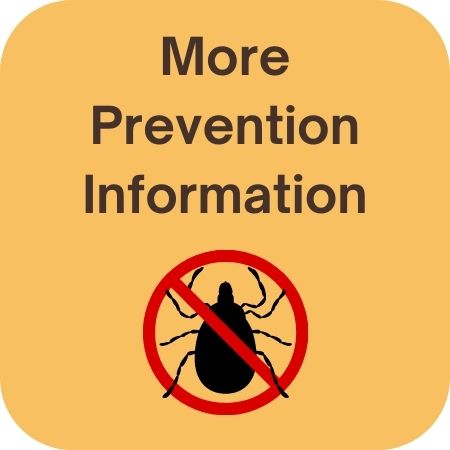 Button More Prevention Information