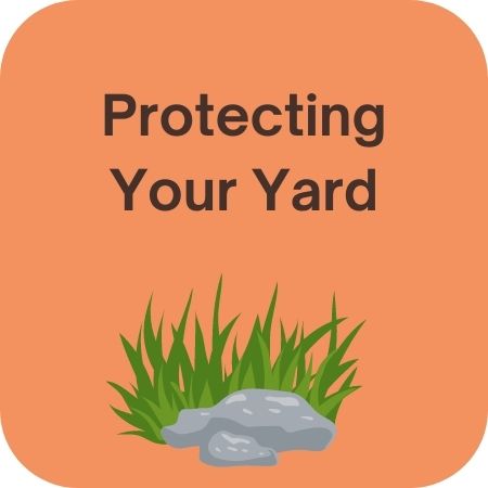 Button Protecting Your Yard